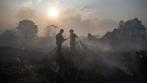 Petugas Gabungan Padamkan Kebakaran Lahan di Ogan Ilir
