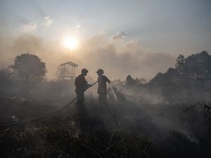 Petugas Gabungan Padamkan Kebakaran Lahan di Ogan Ilir