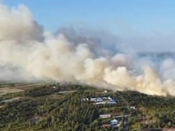 Dalam 2 Bulan Karhutla Hanguskan 279 Hektar Lahan di Kotawaringin Barat