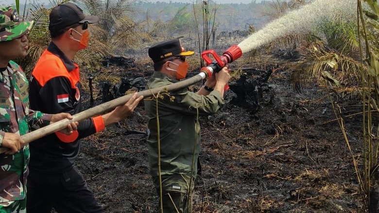 Luas Karhutla di Jambi Capai 658 Hektare, Al Haris Pastikan Satgas Terus Bergerak