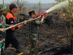Lahan di Muaro Jambi Terbakar hingga 50 Hektare, Gubernur Ikut Padamkan