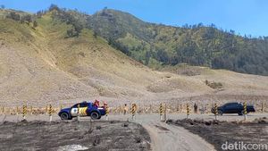 Dampak Kebakaran Bromo Meluas
