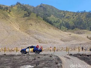 Dampak Kebakaran Bromo Meluas