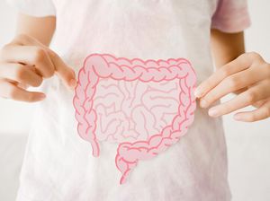 Dokter Gizi Ungkap Alasan Kurang Serat Juga Bisa Picu Peradangan Usus Buntu