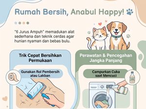 7 Jurus Ampuh Jaga Rumah Bebas dari Bulu Hewan Peliharaan