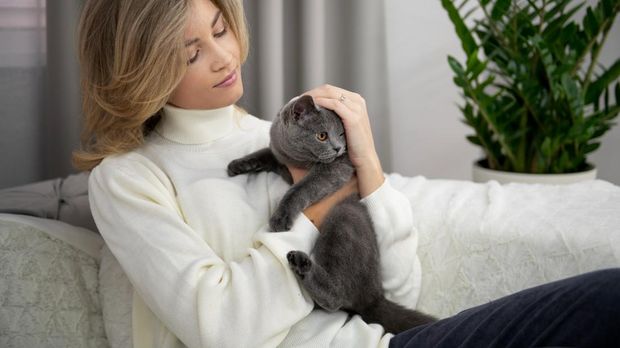 Ilustrasi perempuan mengelus kucing peliharaannya/Foto: Magnific/magnific Penyebab kucing stres