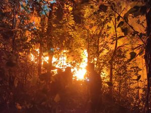 1,5 Hektare Hutan di Gunung Klotok Kediri Terbakar