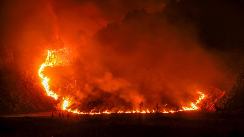 Hari Ke-10 Pemadaman Kebakaran Lahan Gambut di Riau