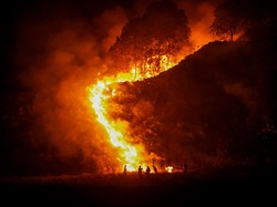 Video Gunung Bromo Kebakaran, Istana Minta Segera Dipadamkan