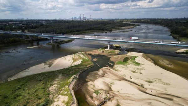Kekeringan Landa Sungai Vistula, Permukaan Air Capai Rekor Terendah