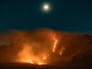 Kebakaran Lahan di Bromo Capai 520 Hektare, 3 Helikopter Diterjunkan