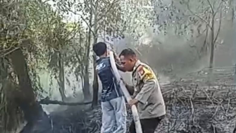 Ada 298 Karhutla di Palangka Raya Sejak Juni, 261,41 Ha Lahan Terbakar
