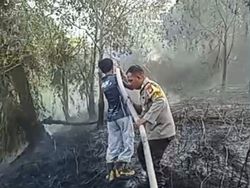 Ada 298 Karhutla di Palangka Raya Sejak Juni, 261,41 Ha Lahan Terbakar