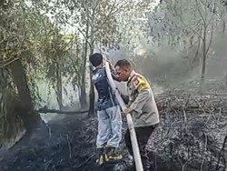 Karhutla di Palangka Raya, 2 Hektare Lahan Gambut di Jekan Raya Terbakar