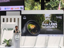 Adu Jepret Foto Satwa hingga Ular Sanca Digendong Model