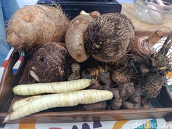Tak Anti-Nasi, Ibu Kimpul: Umbi Lokal Solusi Karbo Bebas Gluten