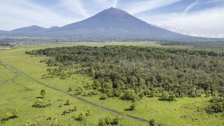 Hotspot Karhutla Jambi Bertambah, Taman Nasional Kerinci Seblat Ditutup