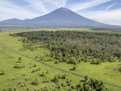 Hotspot Karhutla Jambi Bertambah, Taman Nasional Kerinci Seblat Ditutup