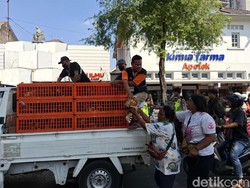 Peternak Protes Harga Telur Anjlok, Pemda DIY Sentil Peran Broker