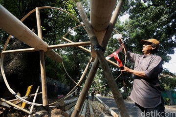 Batang Pinang Mulai Diburu Jelang Perayaan HUT RI