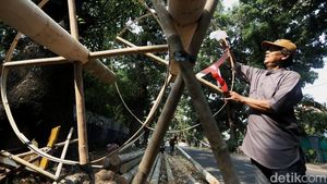 Batang Pinang Mulai Diburu Jelang Perayaan HUT RI