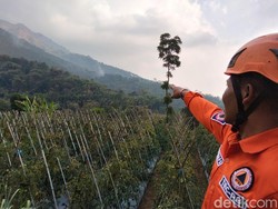 Gunung Andong Magelang Terbakar, 3,67 Hektare Hutan Hangus