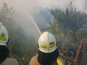 Kebakaran Dekat Stasiun Kampung Bandan yang Ganggu Arus KRL Dipicu Bara Rokok