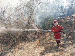 16 Hektare Lahan di Pinrang Terbakar Imbas Pembukaan Lahan-Pembakaran Sampah