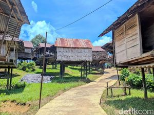 Melihat Lumbung Padi Dayak Uma Lung, Simbol Ketahanan Pangan dan Keadilan Sosial