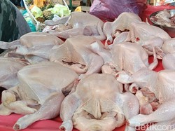 Harga Daging Ayam di Palembang Tinggi, Cabai Merah Keriting Naik Rp 50 Ribu/Kg