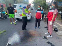 Motor Oleng Tabrak Pohon di Bypass Ngurah Rai, Pria Buleleng Tewas