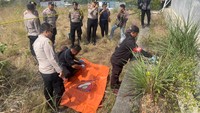 Kerangka Manusia Ditemukan Usai Kebakaran Lahan di Tanjungpinang