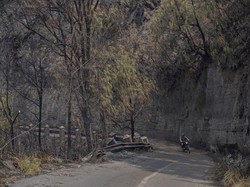 Kondisi Terkini Bromo: 742 Hektare Terbakar, Pemadaman Terus Dikawal
