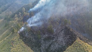 Video Update Penanganan Kebakaran Bromo, 2 Titik Api Masih Belum Padam