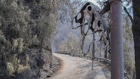 Kebakaran Hutan Tutup Akses Wisata Gunung Bromo