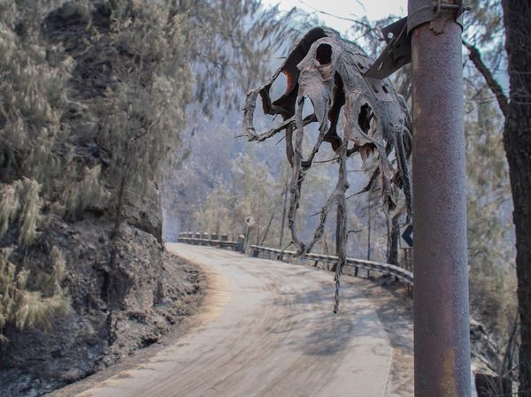 Kebakaran Hutan Tutup Akses Wisata Gunung Bromo