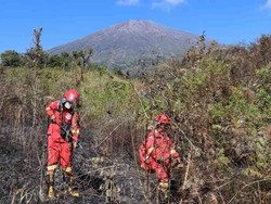 Jurus Kemenhut Gerak Cepat Padamkan Kebakaran Hutan di Gunung Rinjani