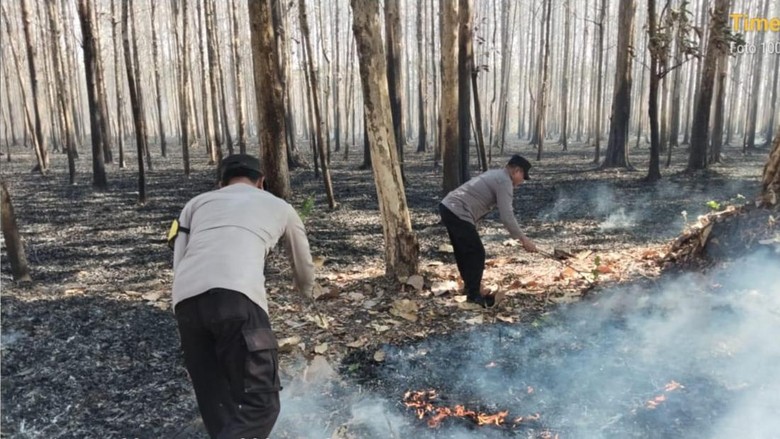 Awas! Asap Kebakaran Hutan Masih Menguar di Jalan Raya Ngawi-Solo