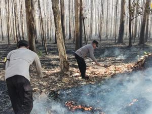 Awas! Asap Kebakaran Hutan Masih Menguar di Jalan Raya Ngawi-Solo