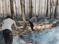 Awas! Asap Kebakaran Hutan Masih Menguar di Jalan Raya Ngawi-Solo
