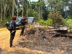 Ulah Pria Bakar 1,5 Hektare Lahan di Inhu dengan Dalih Usir Nyamuk