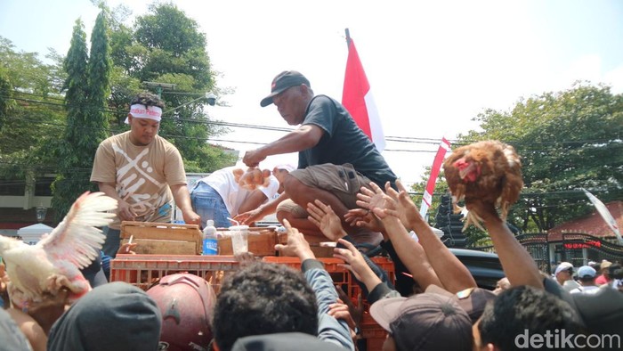 Pemkab Pati Tetapkan Harga Telur Rp26 Ribu per Kg, SPPG Mulai Serap Produksi Peternak