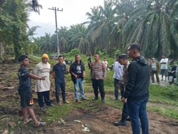 Remaja Tewas Tersengat Listrik Tegangan Tinggi Saat Panen Sawit di Simalungun