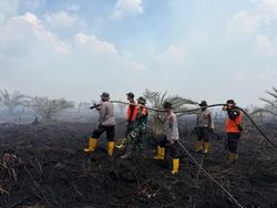 Polda Jambi Tangani 4 Kasus Karhutla, 5 Pelaku Ditangkap