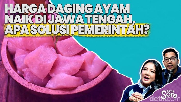 Video: Peternak Jawa Tengah Lakukan Demo dan Tutup Usaha Imbas Tak Stabil Harga Daging