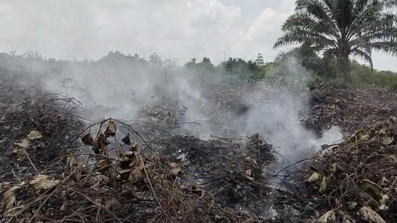 Karhutla Terjadi Tiap Hari di Kubar, Salah Satu Pemicunya Musim Bakar Ladang