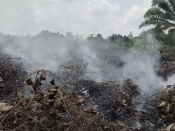 Karhutla Terjadi Tiap Hari di Kubar, Salah Satu Pemicunya Musim Bakar Ladang