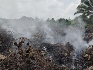 Karhutla Terjadi Tiap Hari di Kubar, Salah Satu Pemicunya Musim Bakar Ladang