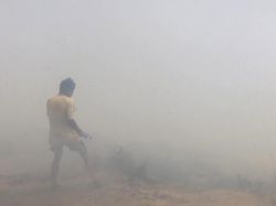 1,6 Hektare Lahan di Pelawangan Terbakar, Pendakian Gunung Rinjani Tetap Buka