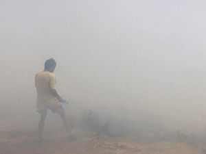 1,6 Hektare Lahan di Pelawangan Terbakar, Pendakian Gunung Rinjani Tetap Buka